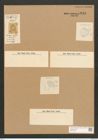 Cocconeis nodulifera Grove et Sturt. (de-Toni-Nr.: Genus 40, Species 1826) Zeichnungen Sammlung Grunow Nr. 3618 (NHMW-BOT-W0371220)